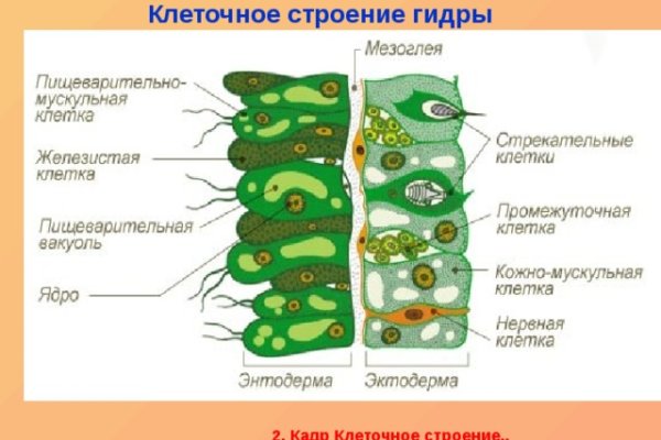Кракен магазин тор