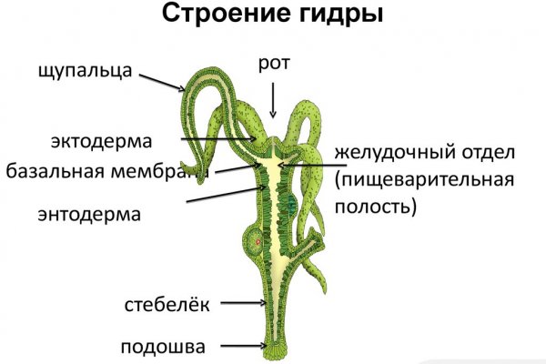 Darknet ссылки