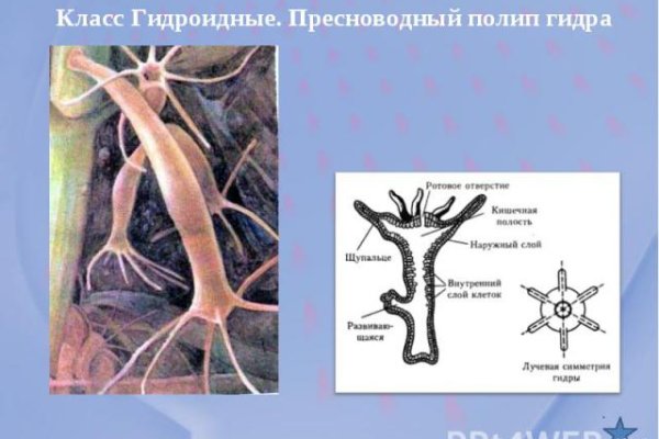 Вход в кракен чтобы купить меф